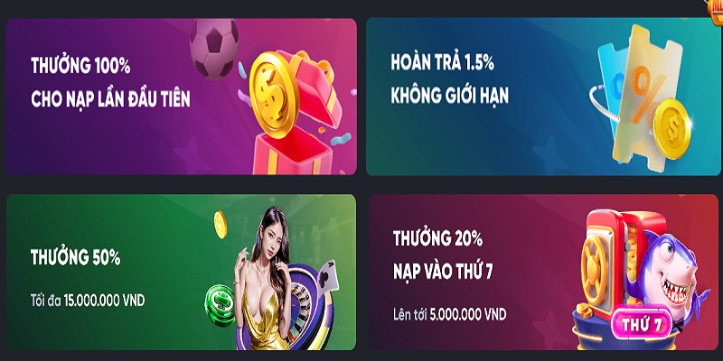 Dabet đang triển khai nhiều chương trình hấp dẫn cho thành viên