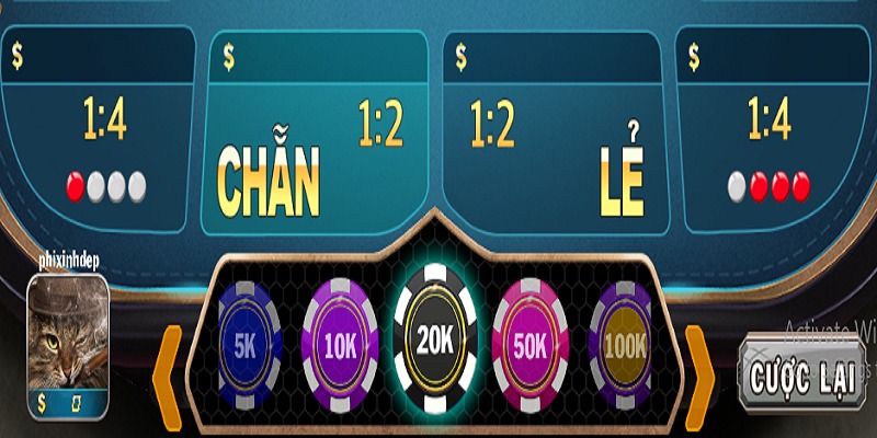 Xóc Đĩa Sexy cung cấp đa dạng các cửa cược